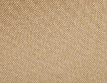 081 Desert Sand