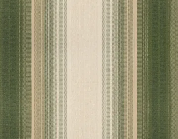 331
